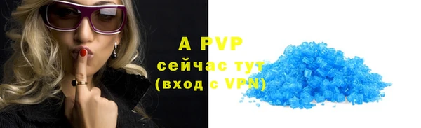 PSILOCYBIN Богородицк