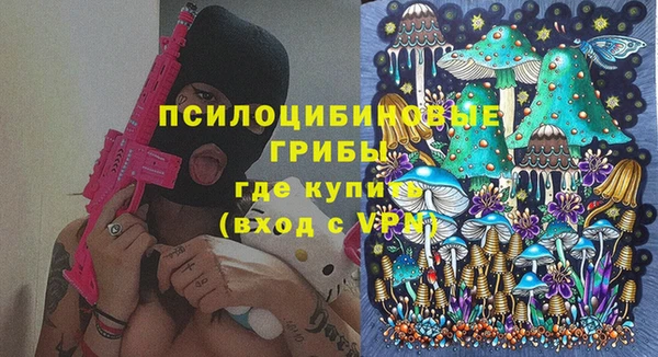 PSILOCYBIN Богородицк