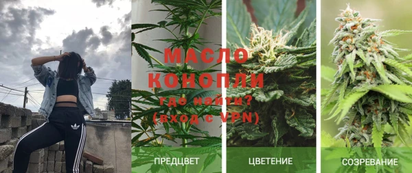 PSILOCYBIN Богородицк
