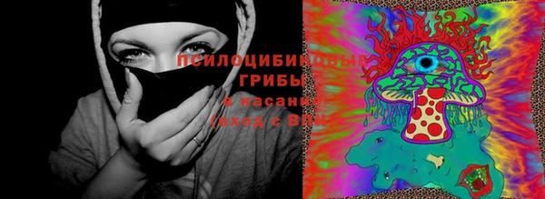 PSILOCYBIN Богородицк